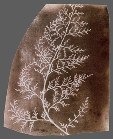 Photographic prints on paper