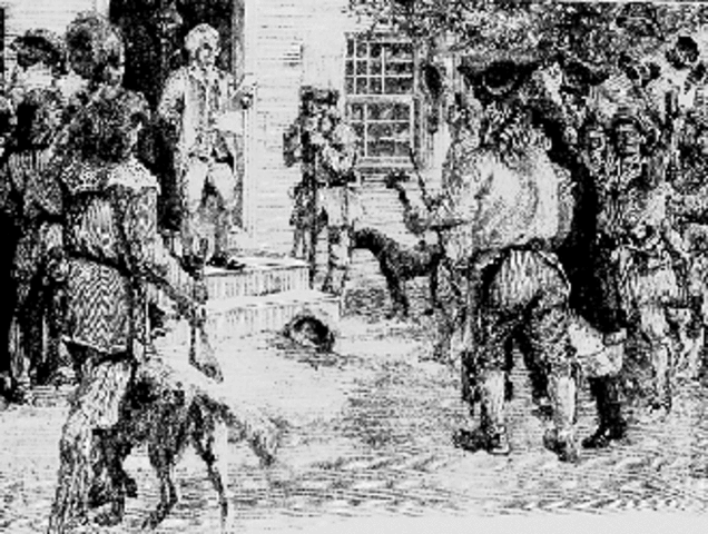 mecklenburg resolves