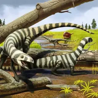 The beginning of the  Asilisaurus