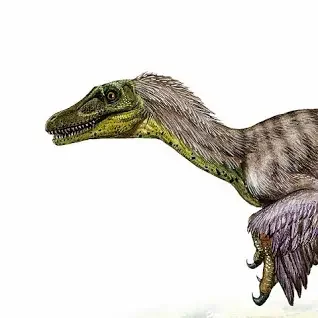 The most popular relative to birds