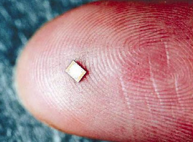The Microchip