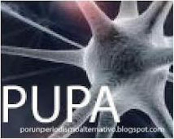 Nace 'P.U.PA.'
