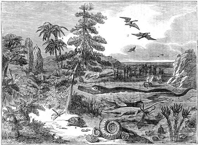 The Penny Magazine (1833), "Organic Remains Restored"