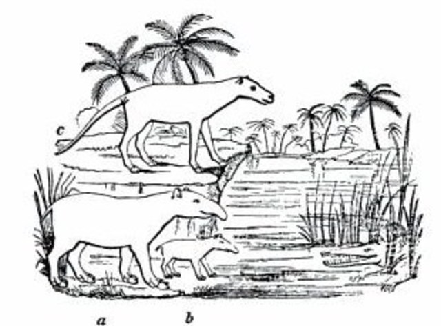 Henry De la Beche - Geological Manual