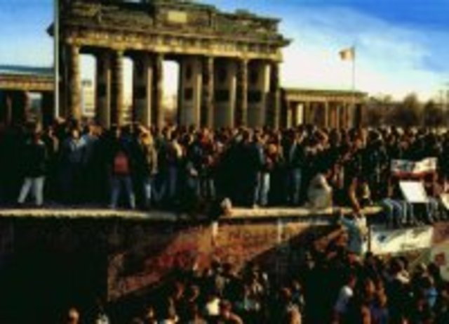 Berlin Wall collapses