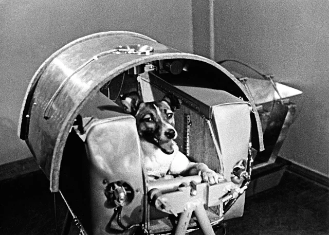 First animal in space by USSR