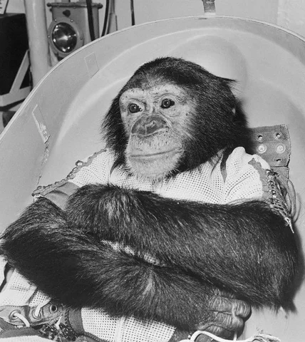 First animal in space by USA (Ham the chimp)