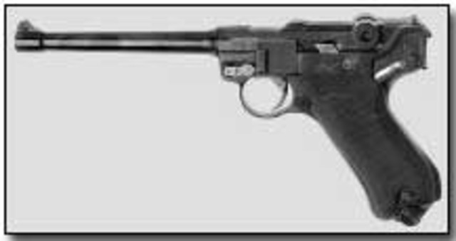 Luger m17