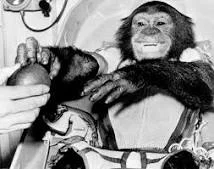 First animal in space by USA (Ham the chimp)