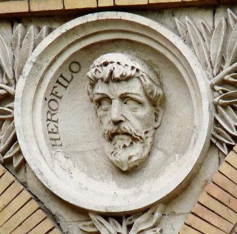 Herófilo (340-280 a.C.)