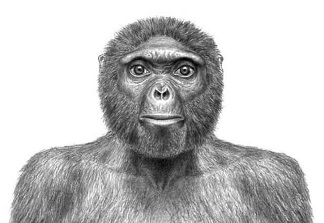 Ardipithecus Ramidus 4.4 million years ago