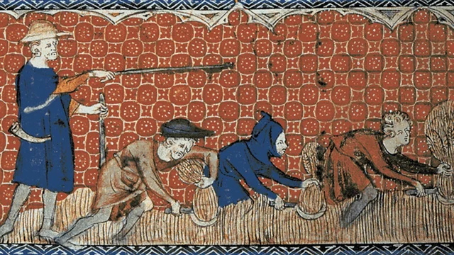 Situation of the peasantry