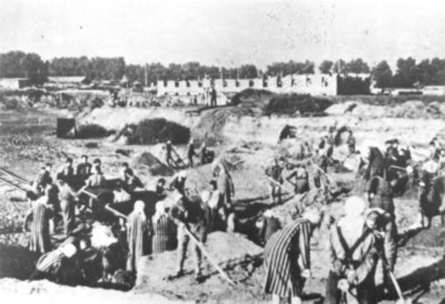 Dying In Bergen-Belsen