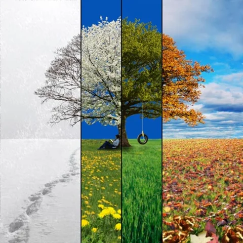 The four season