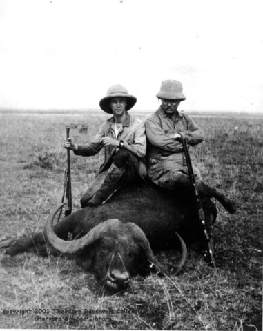 Buffalo Hunter