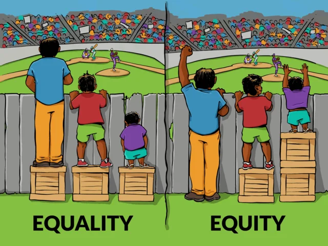 Equity in IDEA (2016)