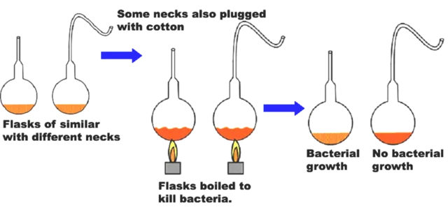 Pasteur puts spontaneous generation to rest