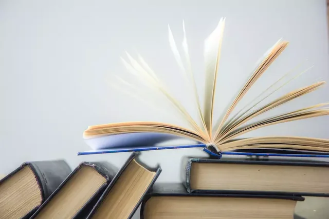 Bibliografía