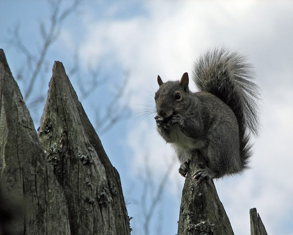 Annie teaches herself how to shoot