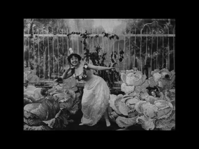 LA FADA DE LES COLS