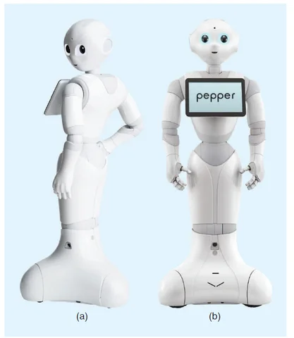 Pepper: "The motors are just powerful enough to move the joints but not so strong as to hurt someone through an accidental blow" (Pandey, 2018). I thought this was smart on their end because people do fear robots being able to harm people. (link below)