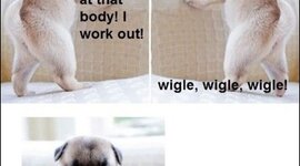 Timeline: music i have downloaded