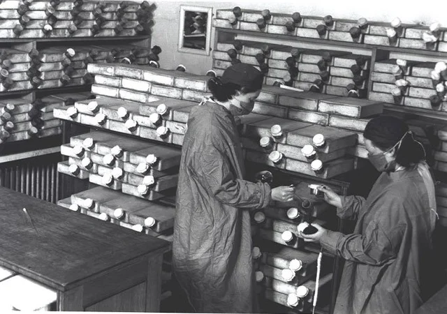 The Accidental Life Saving Drug