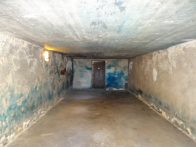 Gas chambers established in Aushwitz