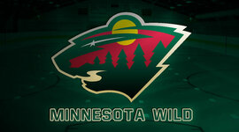 Timeline: Minnesota Wild