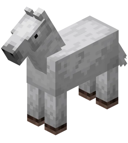 Horseback Riding