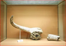 Prehistoric era (6.000 BC)