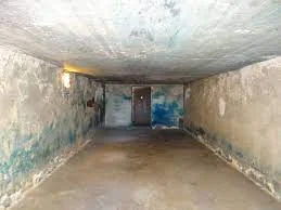 Nazi's Establish Gas Chambers in Aushwitz