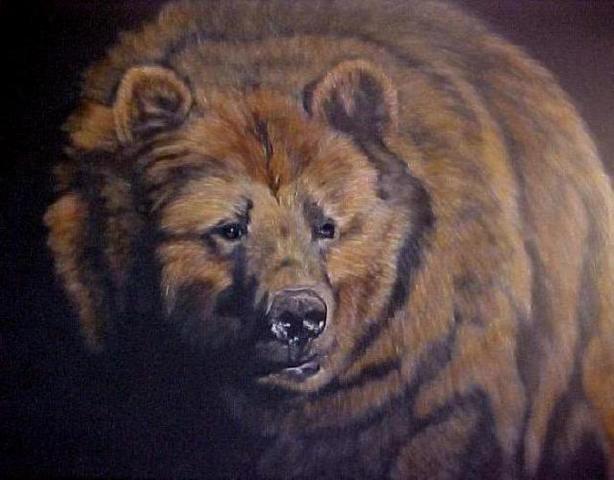 The Grizzly (A Profound Animal Experience)