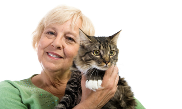 Win Nobel Peace Prize for Cat Organization