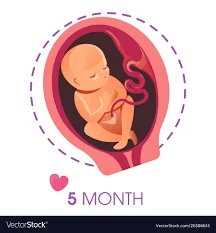 Month Five