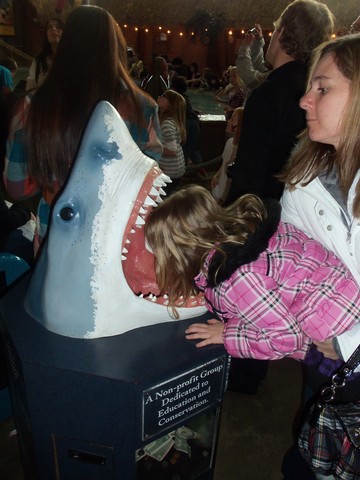 Caitlyn becomes a shark dentist...