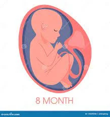 Month Eight