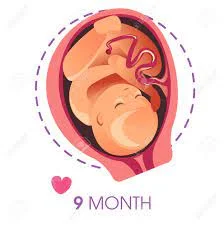 Month Nine