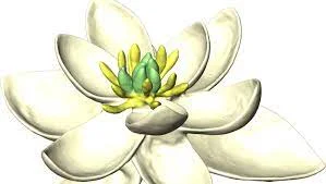1º Angiosperm plants with flowers