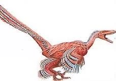 Saurornitholestes