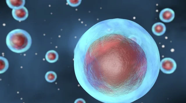 1º Form of unicellular life