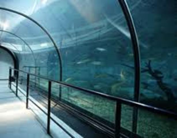 La Ecologia acuatica