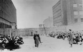 Who were the other victims of  the Nazi persecution and mass murder?