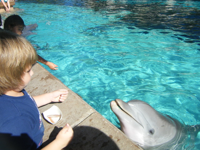 Sea Wold for Jessica's Birthday!