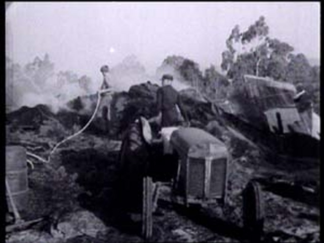 Black Tuesday ravages Tasmania