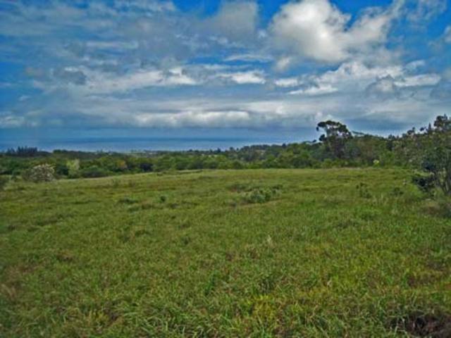 Christopher Columbus's crew and he find more new land