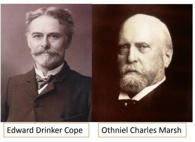 gerra de los fosiles