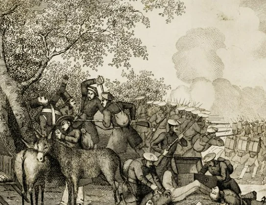 Campaña de Zumalacárregui