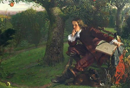 Newton formulated gravitational theory