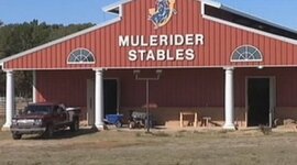 Timeline: TIMELINE: SAU horse theft investigation